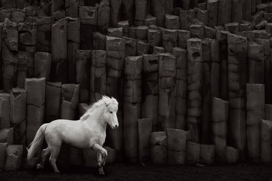 Icelandic horse column rocks