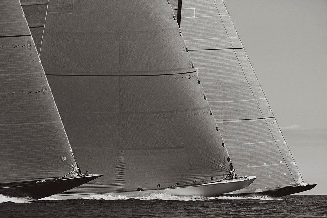 Majestic sail closeup