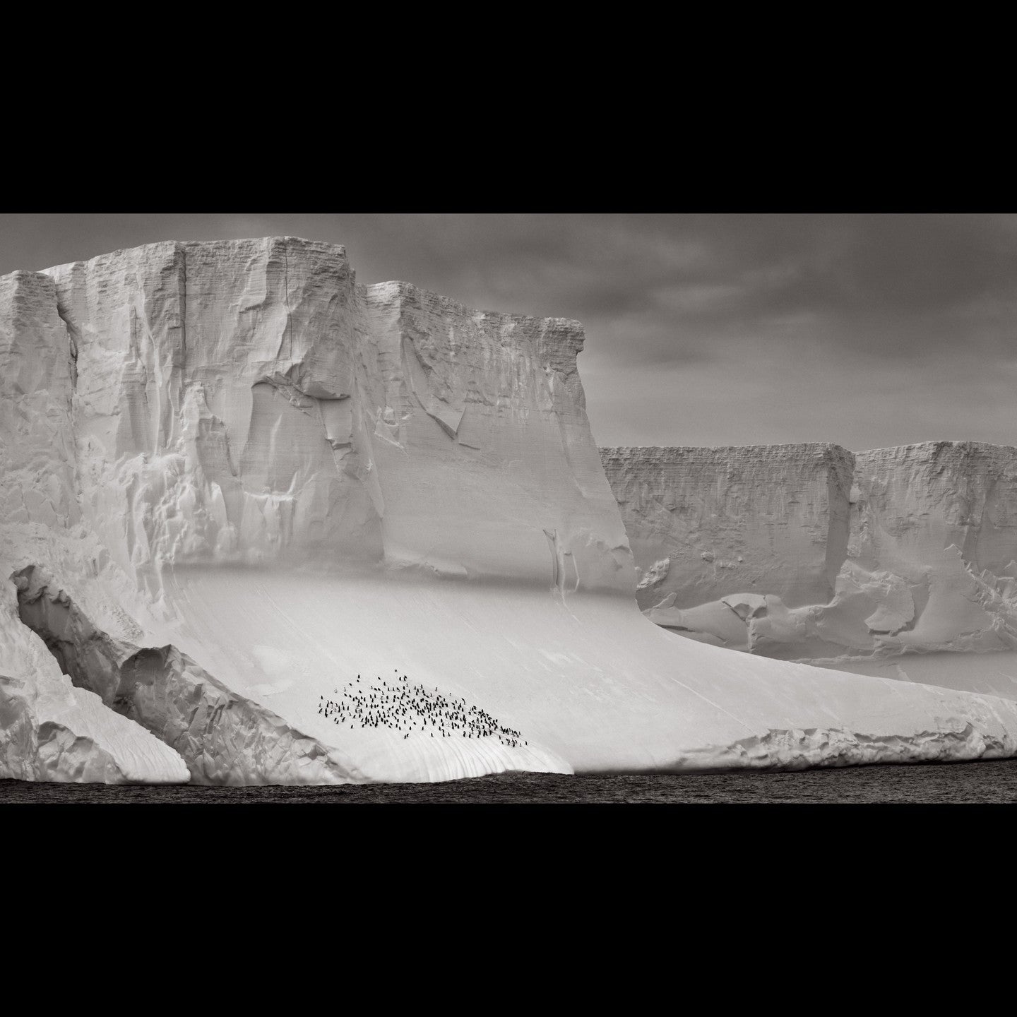 Penguin group iceberg