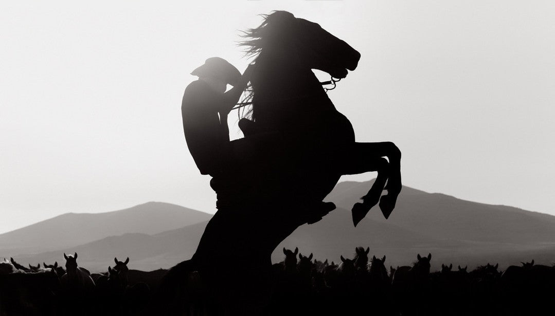 Rearing horse silhouette