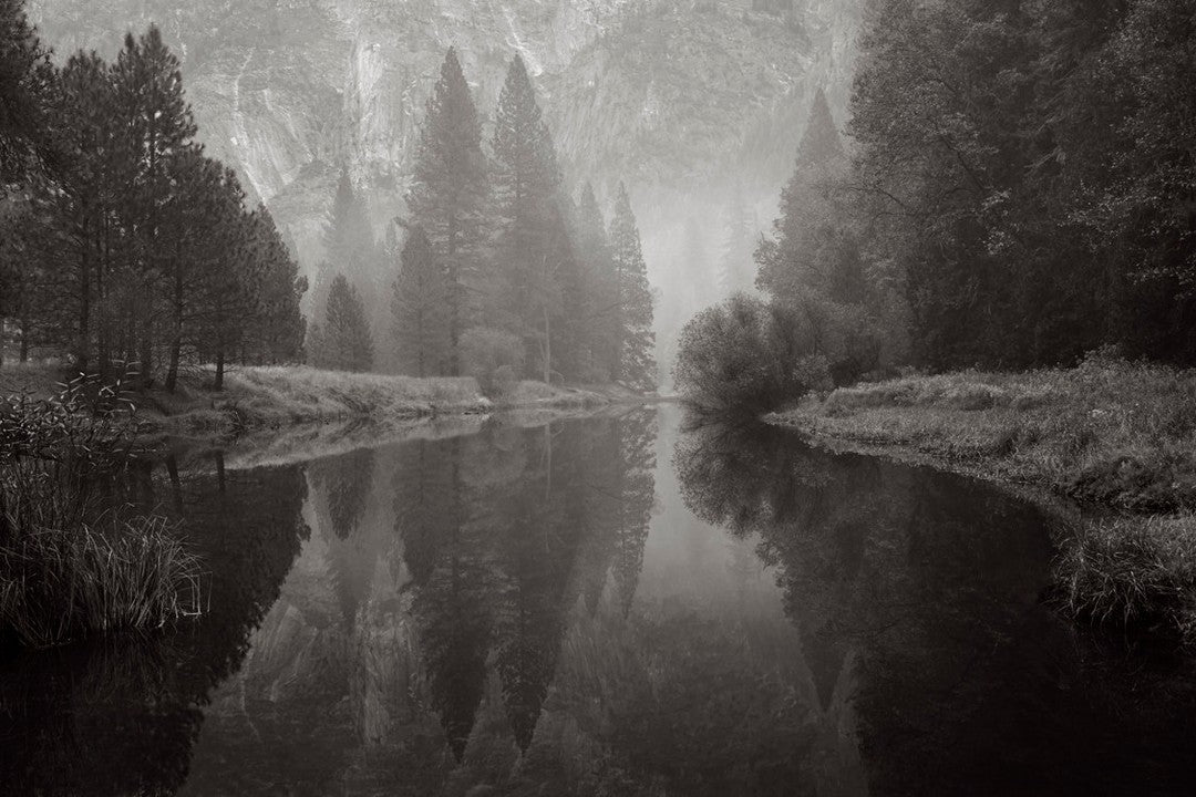 River reflection forest