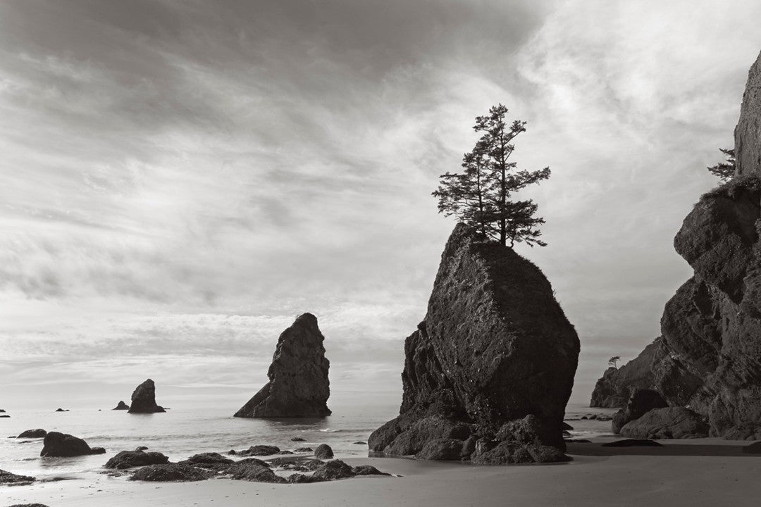 Sea stack solitude
