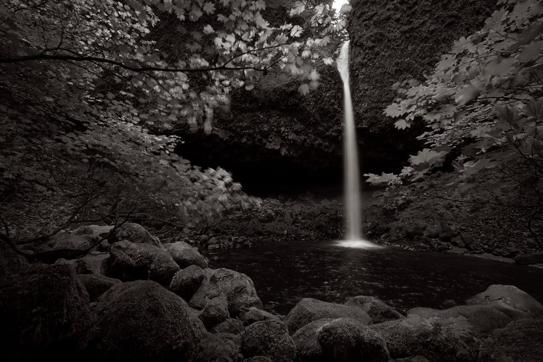 Secret waterfall forest