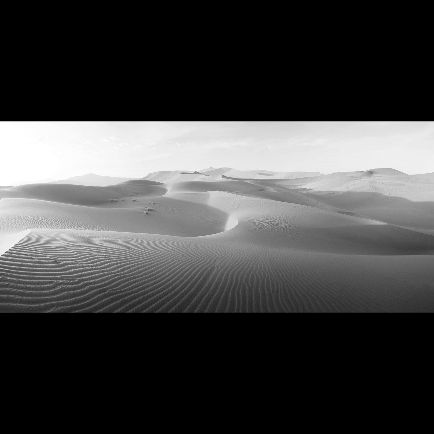Tranquil desert waves
