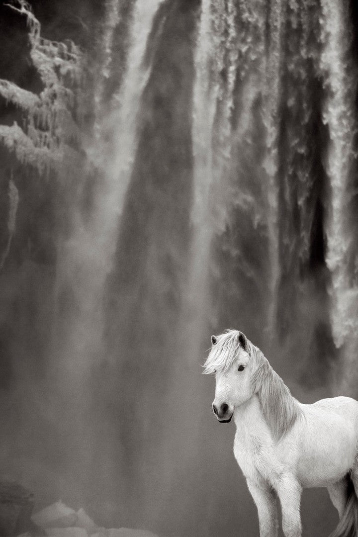 White horse waterfall mist