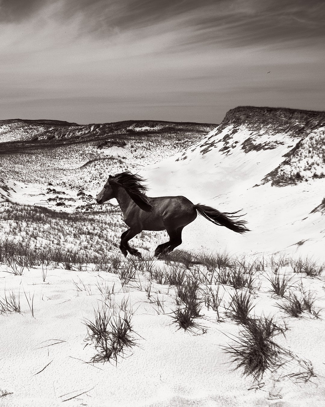 Wild horse snow valley