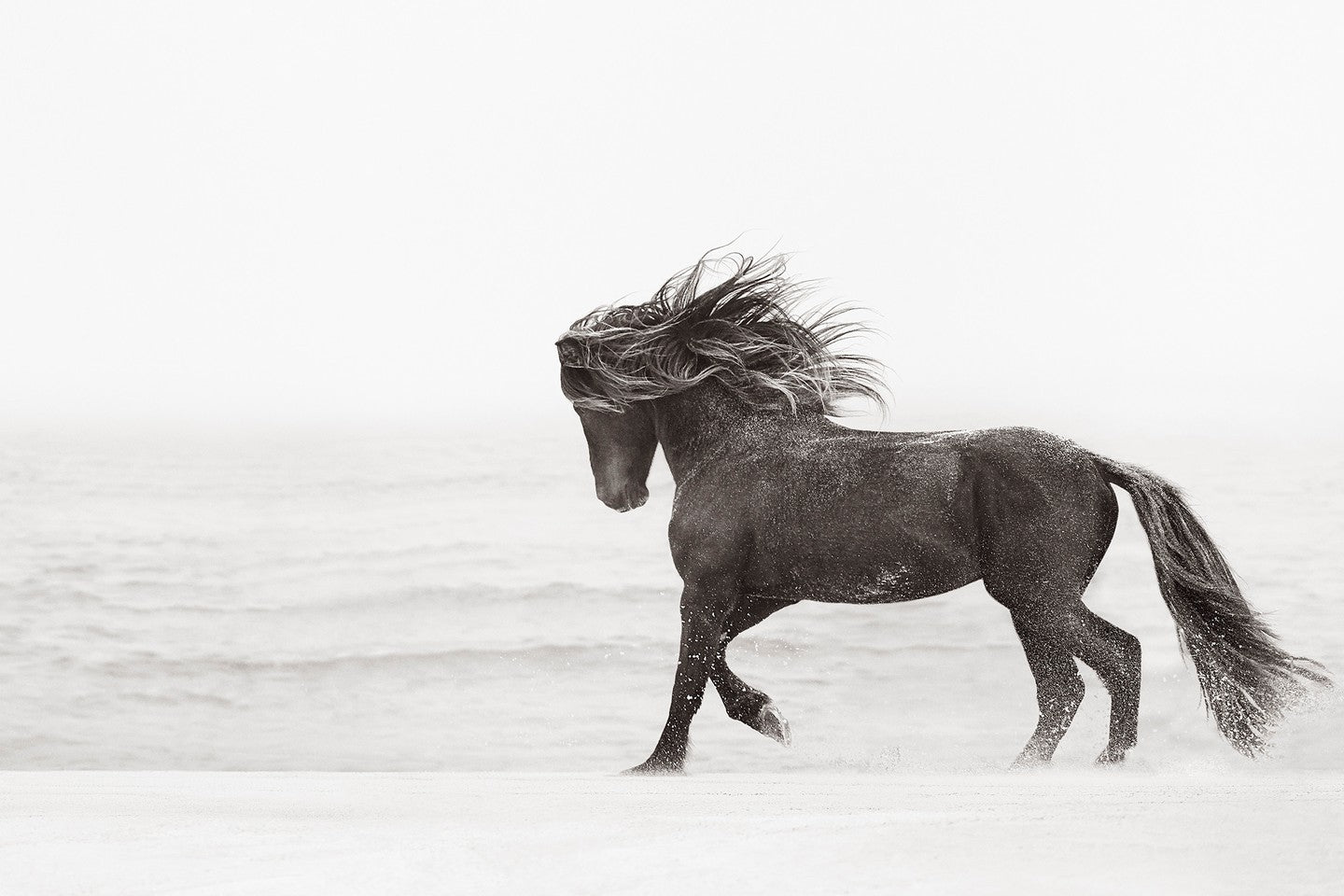 Black horse beach wind