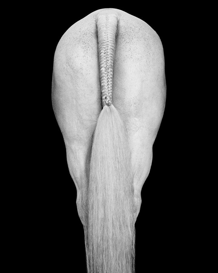 Braided horse tail