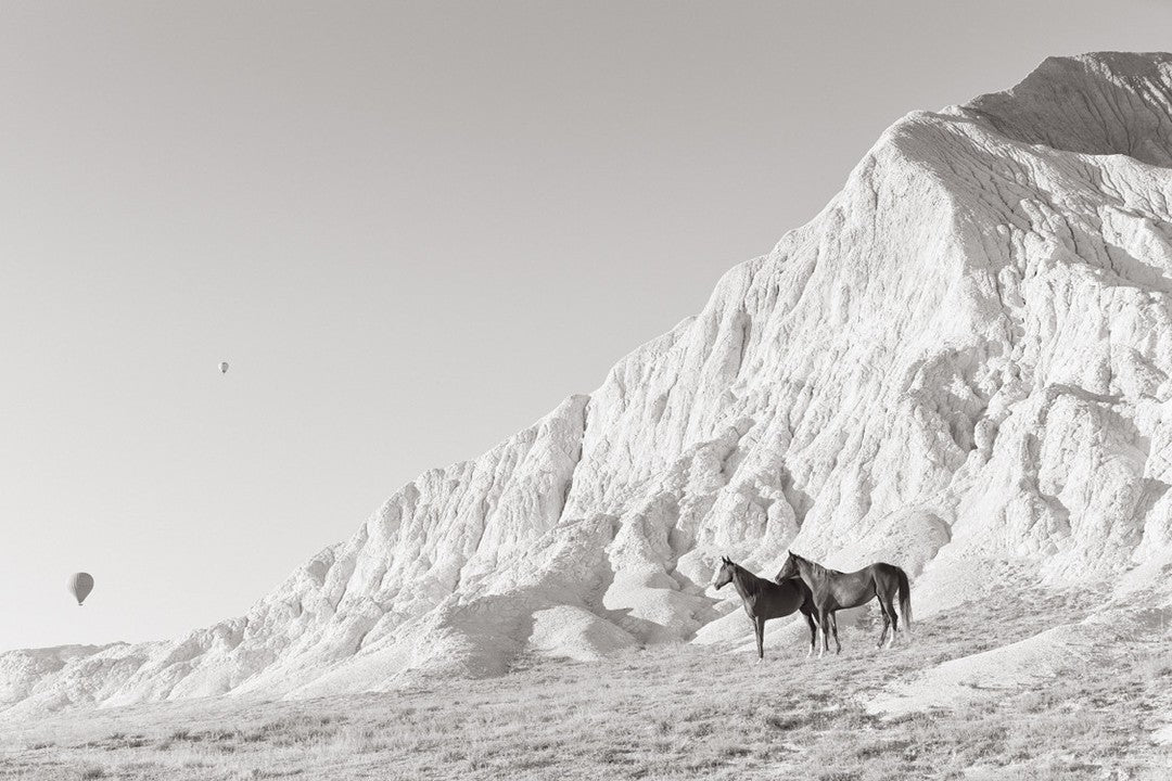 Wild horses balloon mountains